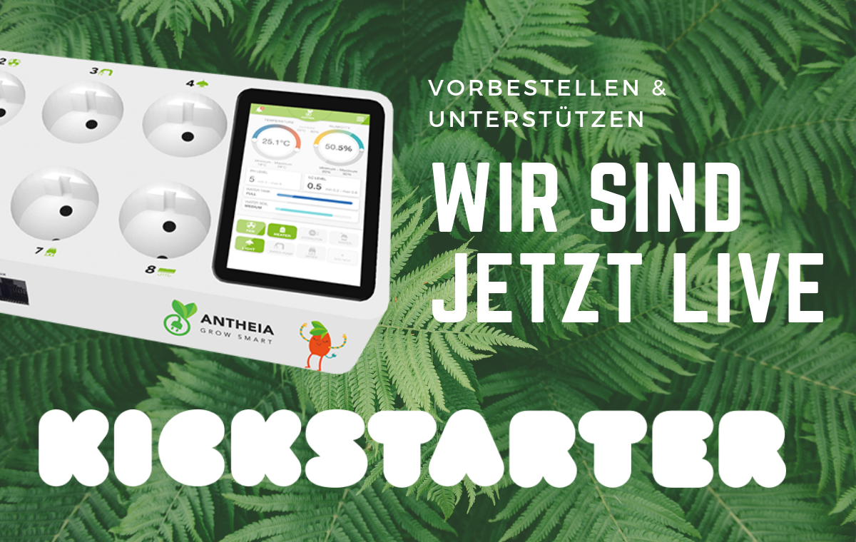 Antheia ist ab jetzt verfügbar!