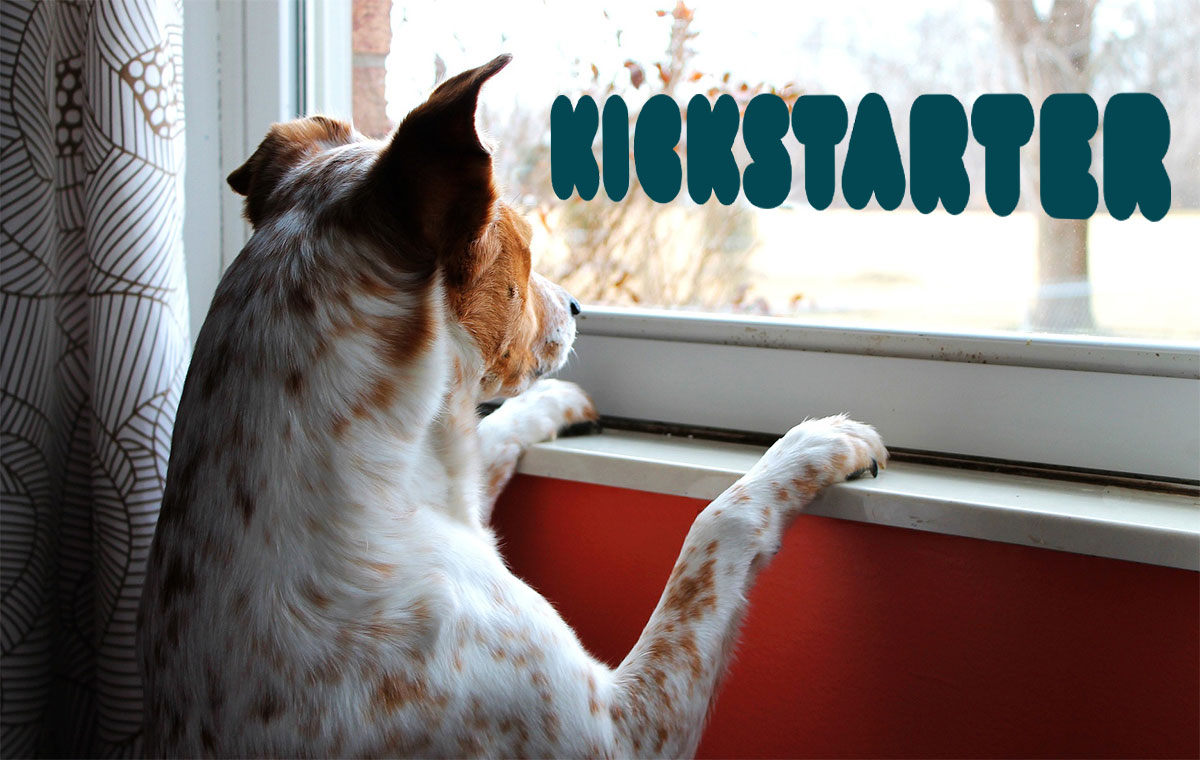 Leichte Verzögerung bei Kickstarter